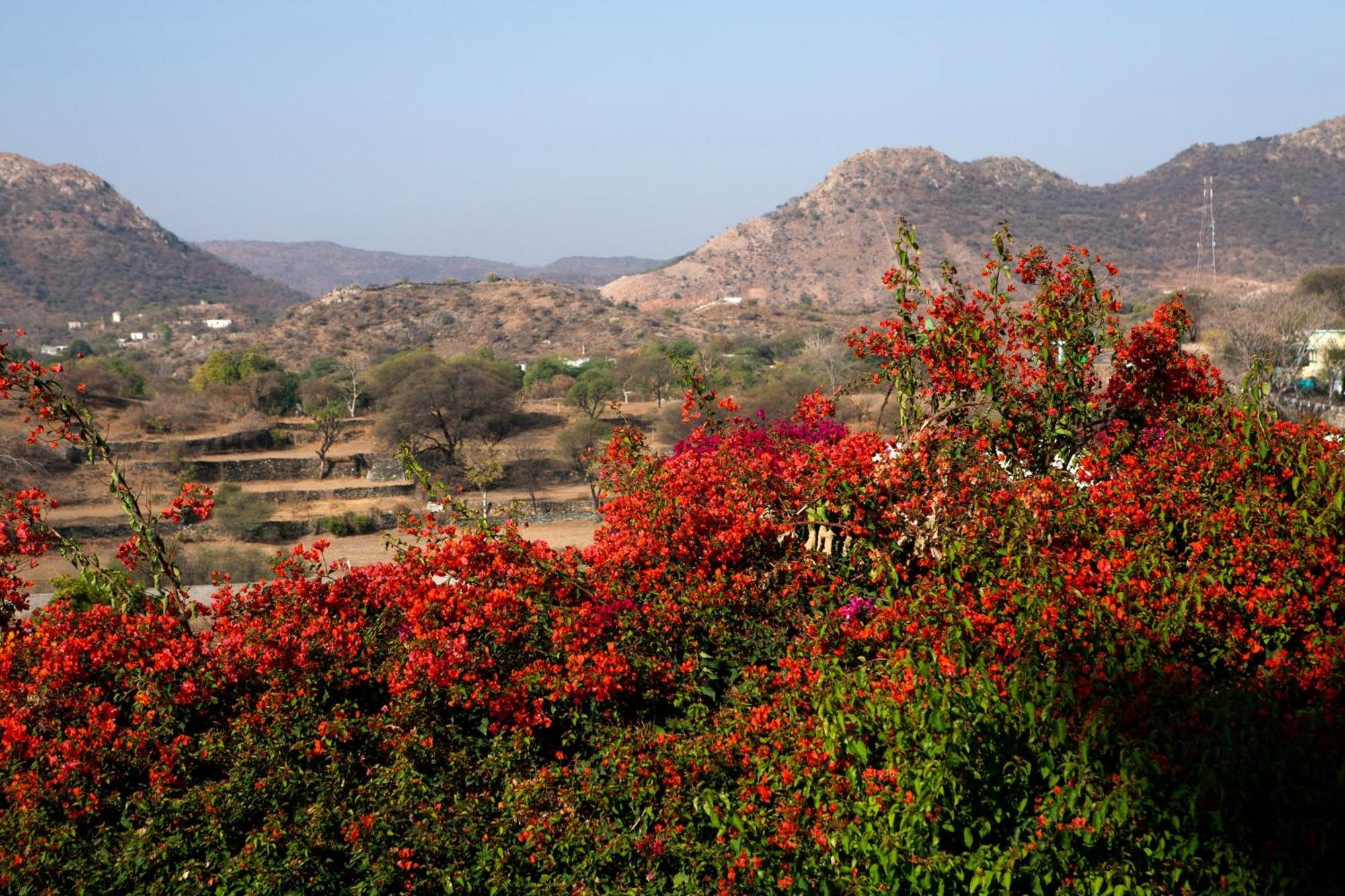 Hotel Raas Devigarh