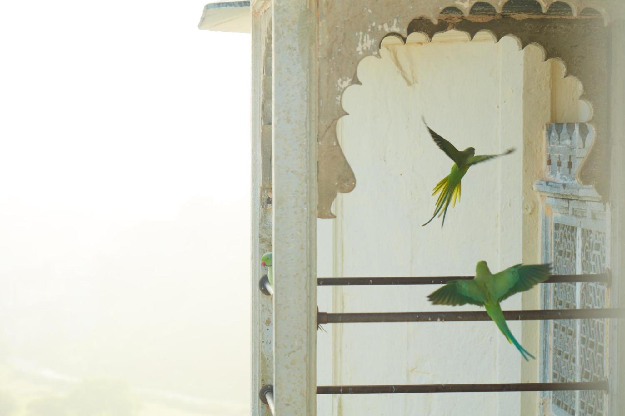 Raas Devigarh Hotel 5*
