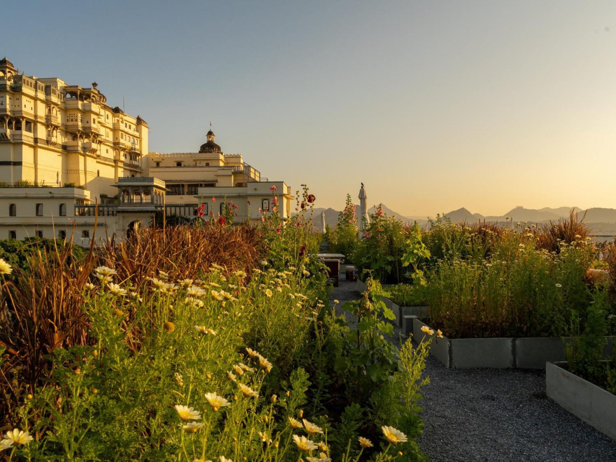 Raas Devigarh 5*